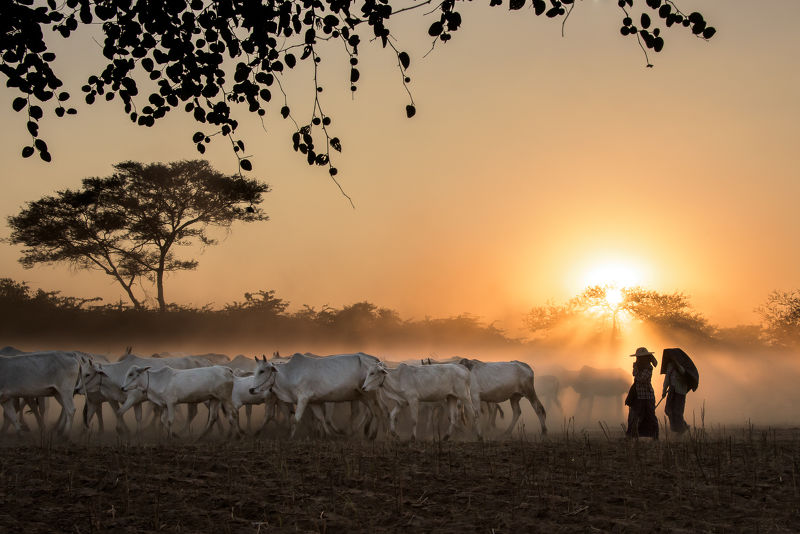 Photographie Coucher de soleil en Birmanie