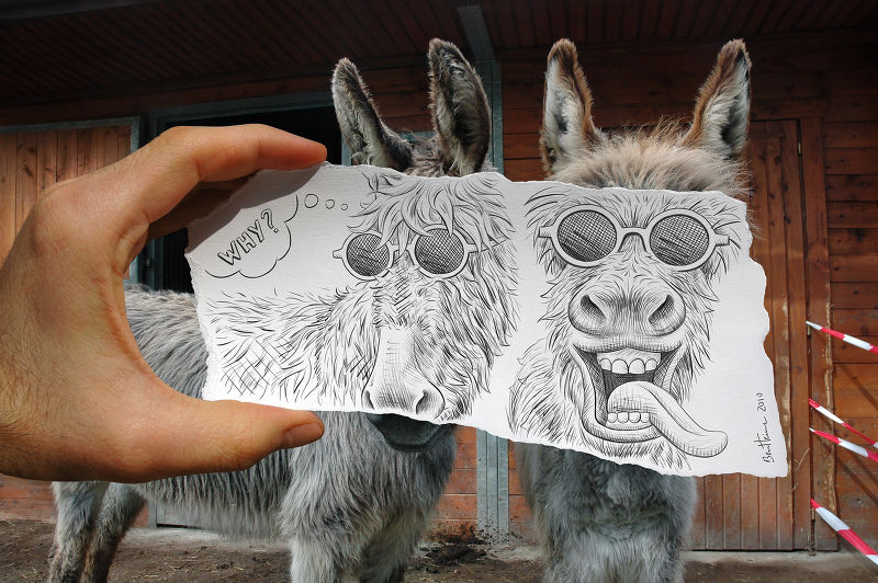 Photographie Pencil Vs Camera - Donkeys (© Ben Heine)