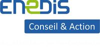 Enedis Conseil Action