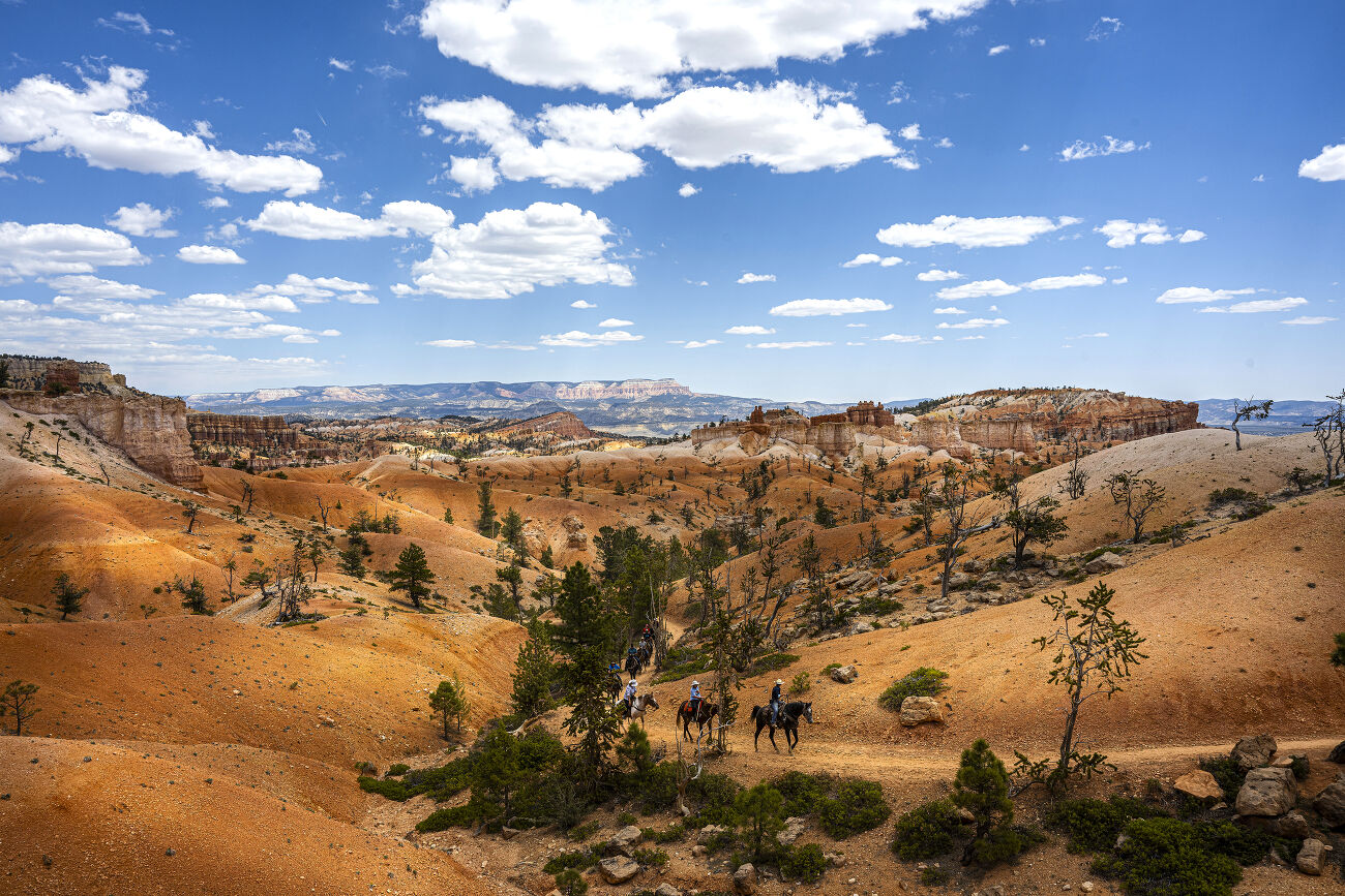 Cheveaux Bryce Canyon