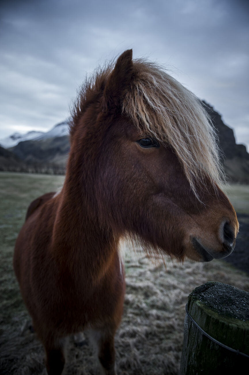 Islande 8