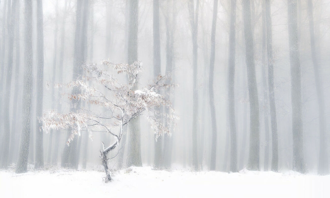 In front of the misty curtain