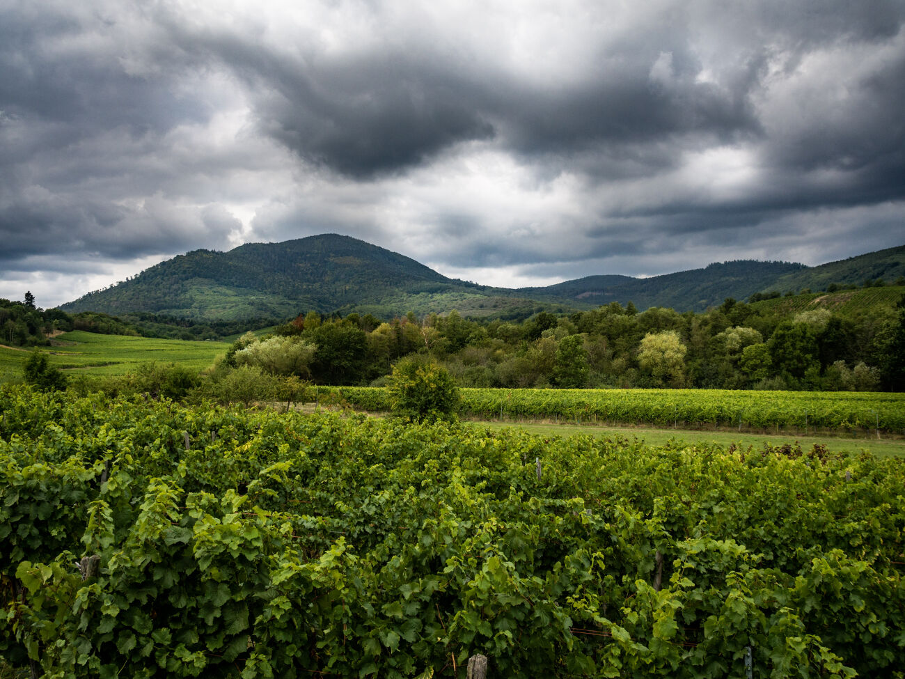 Alsace_3