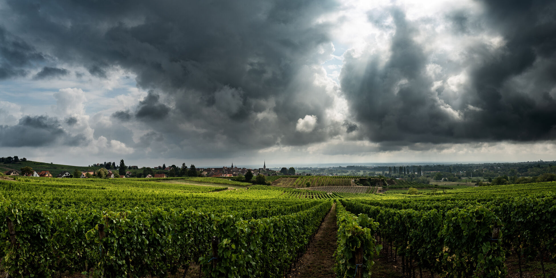 Alsace_5