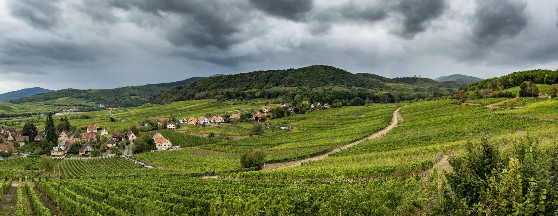 Alsace_6
