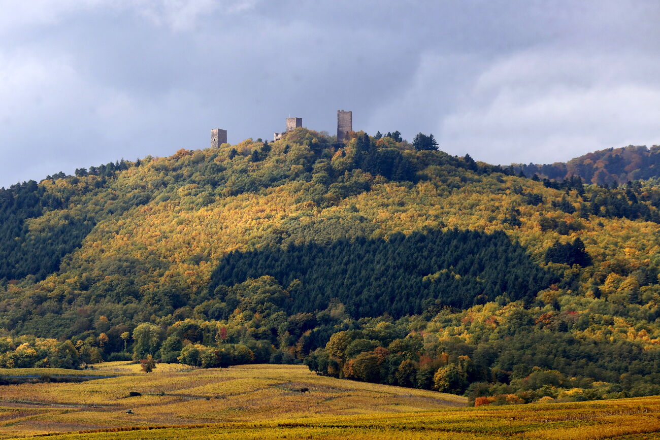 Les Trois Châteaux d'Eguisheim