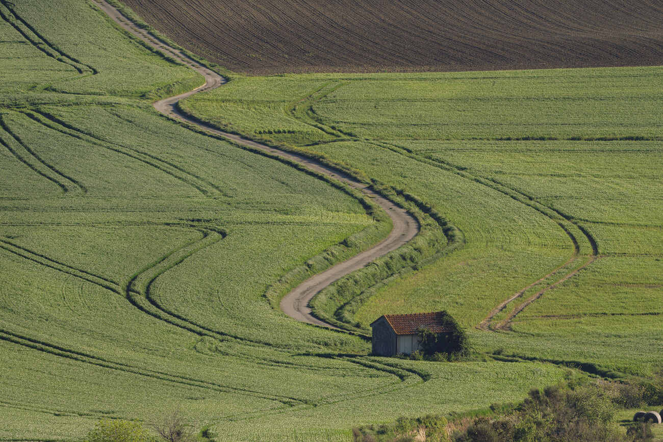 Un chemin au coeur des champs dans l'Aude