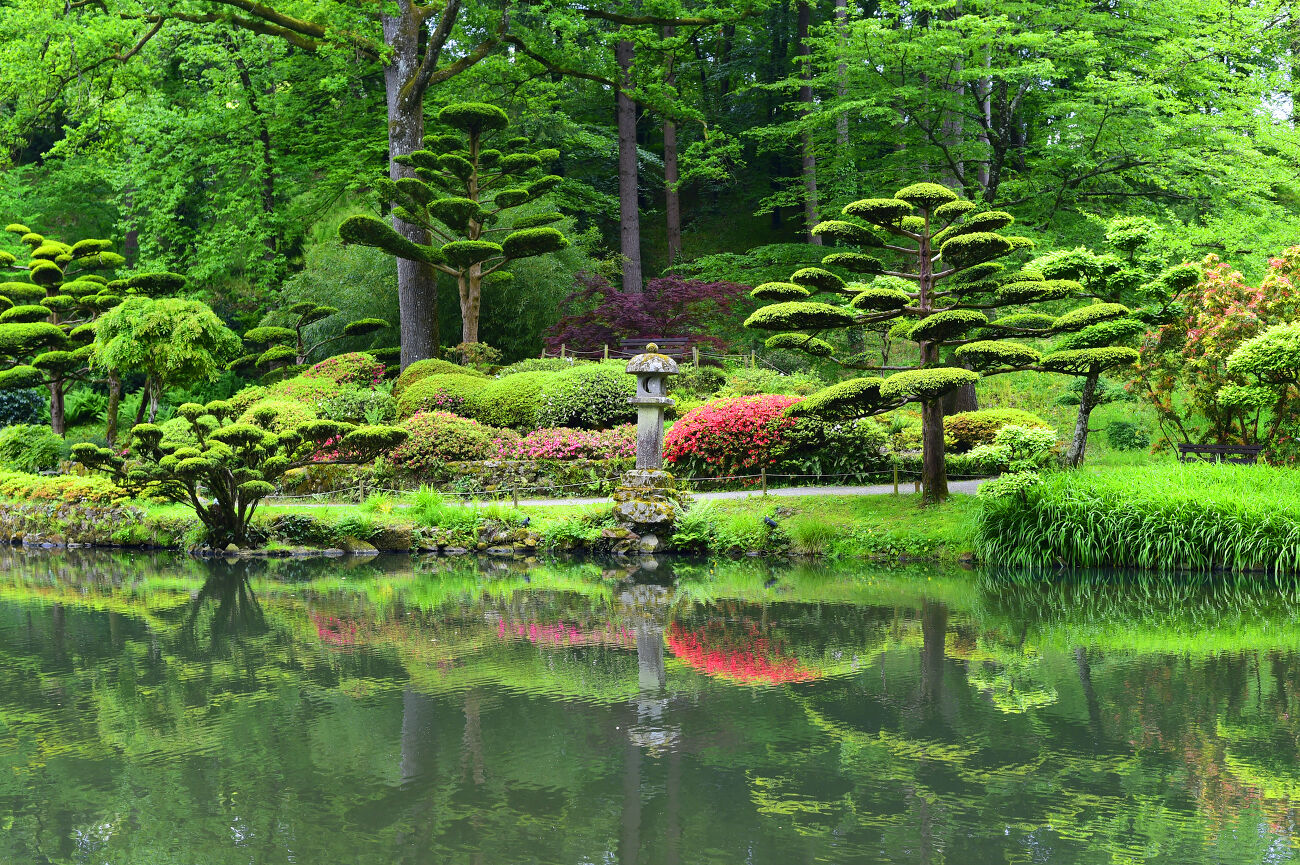 Le jardin japonais