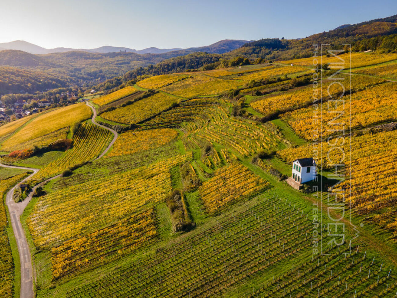 Vue aérienne des vignobles de Barr