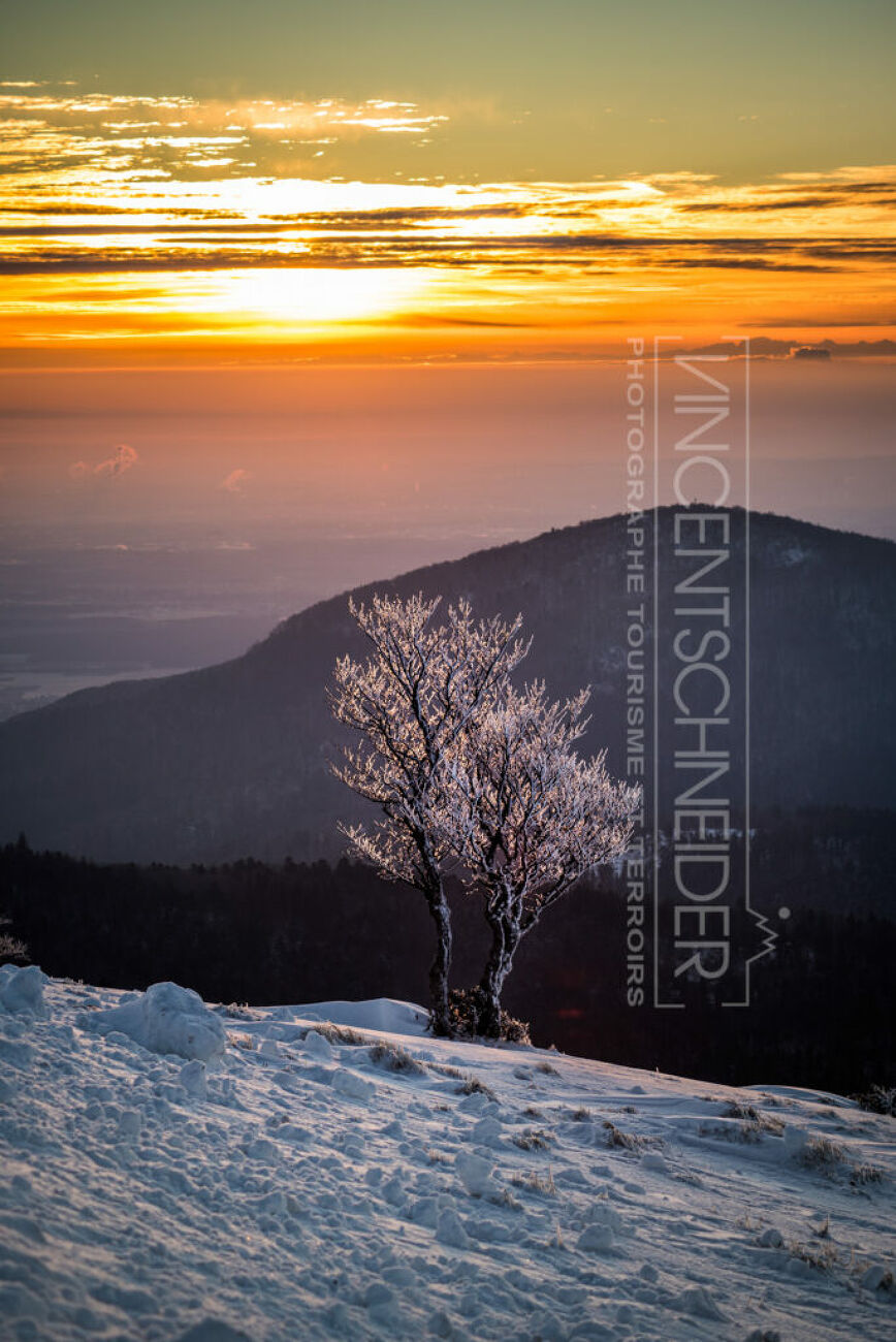 Lever de soleil au Grand Ballon d'Alsace