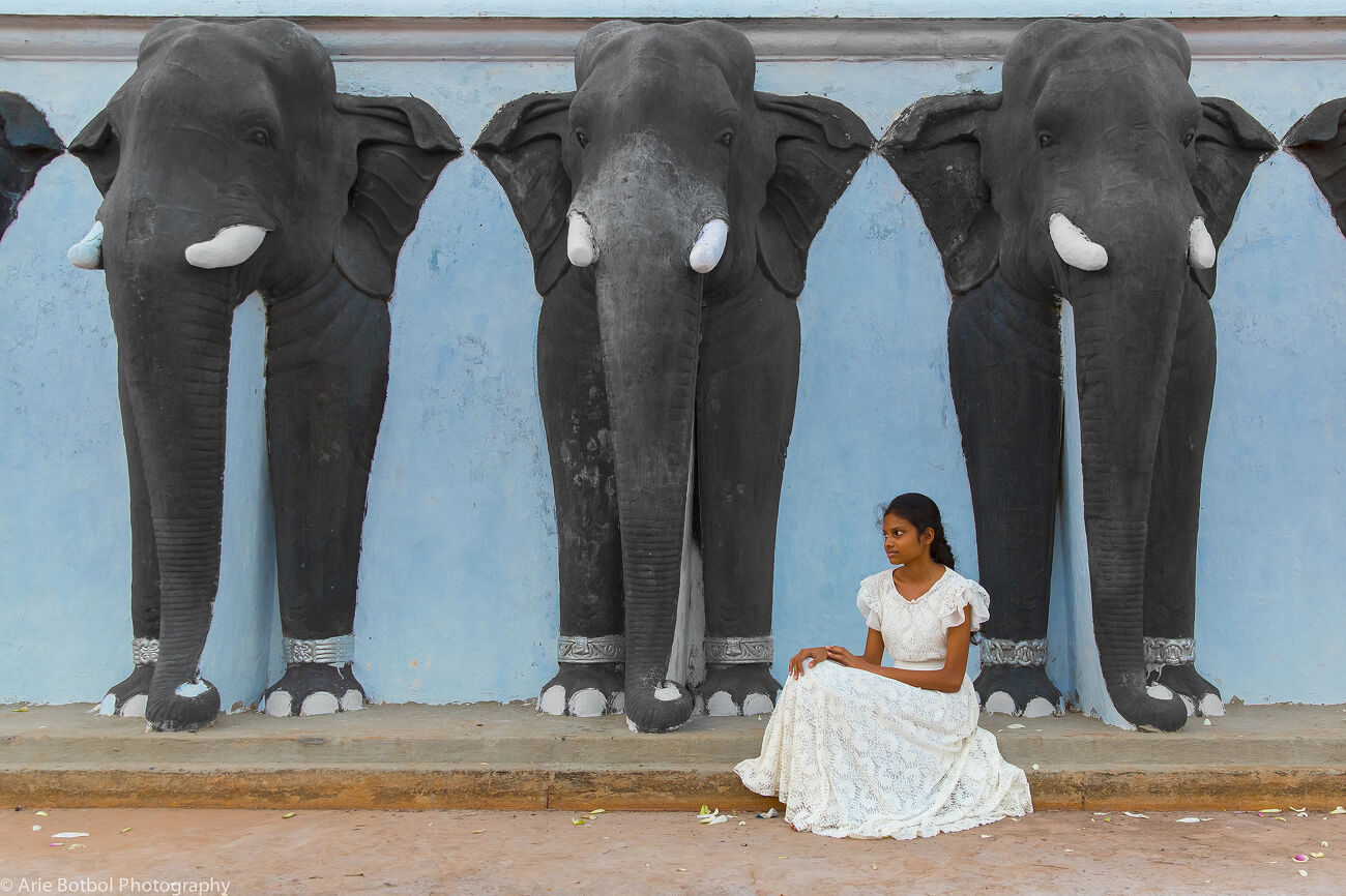 La fille aux éléphants