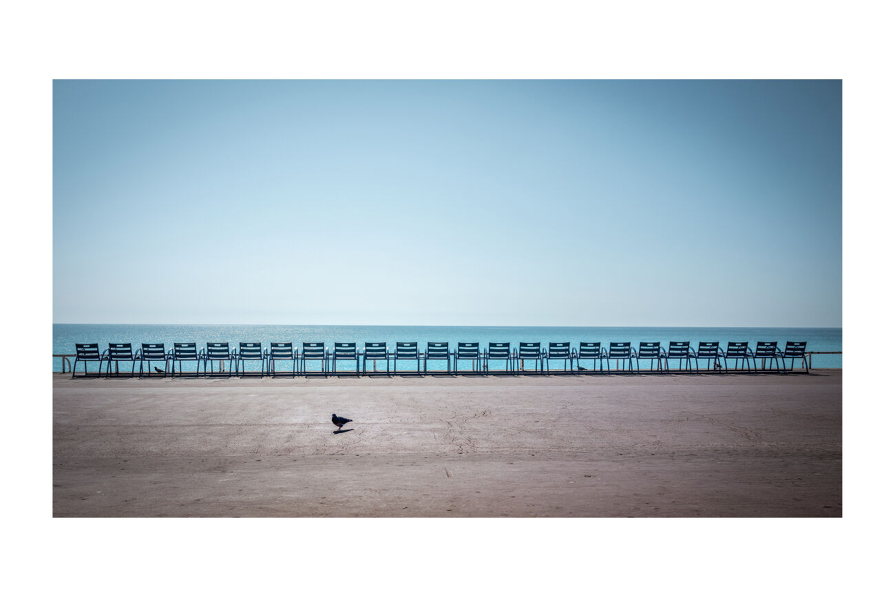 Nice - Pigeon
