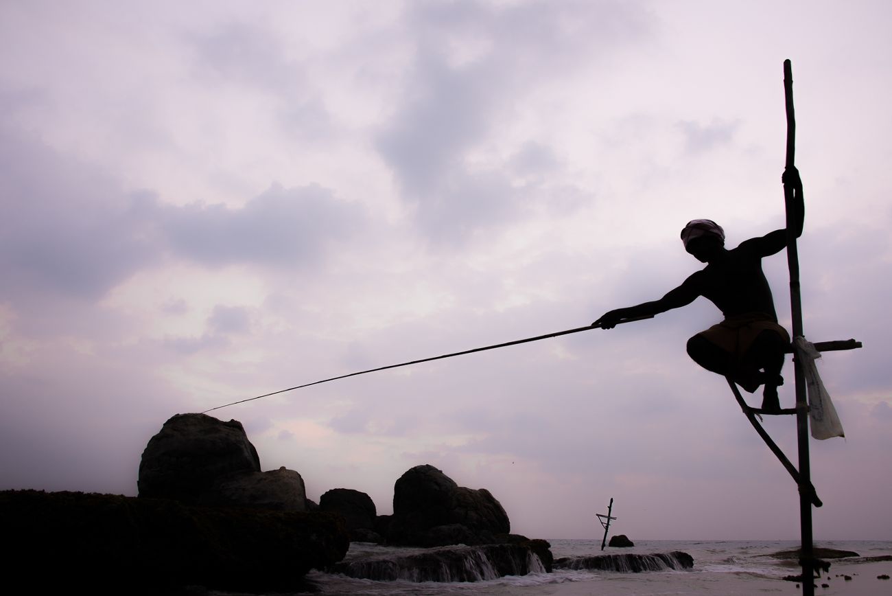 Pêcheur sur échasse, Sri Lanka -2