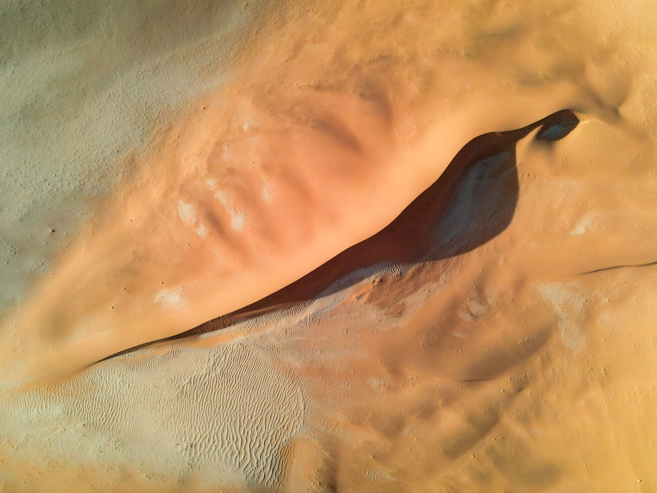 Dune