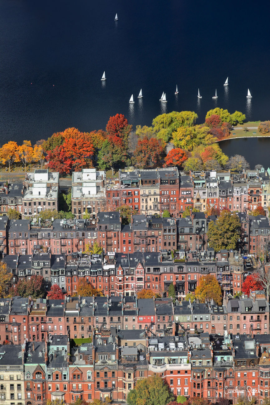 Painted Ladies, Boston