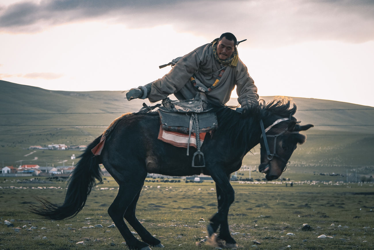 Qinghai