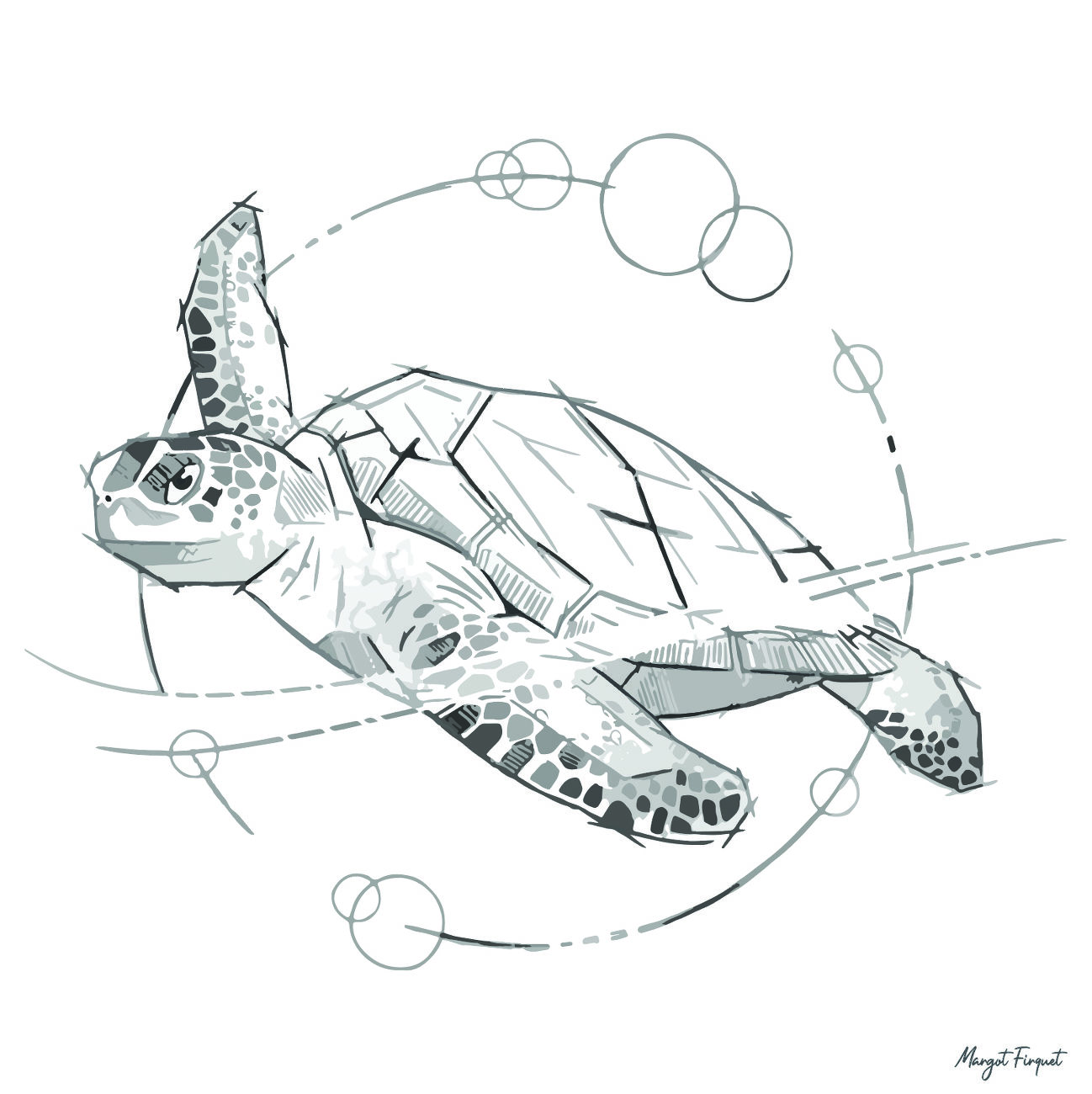 La tortue