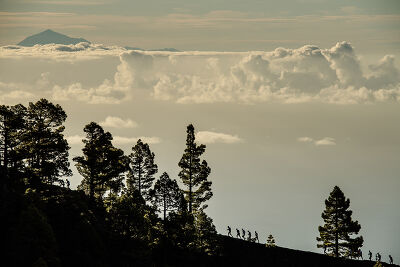 Le Teide en toile de fond