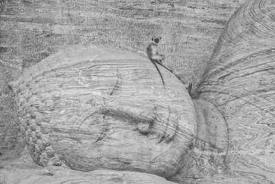 Singe et Bouddha