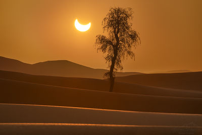 Eclipse solaire - Désert d'Arabie 2
