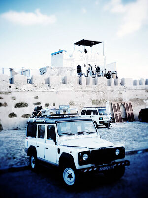 Rover devant le Salon Bleu