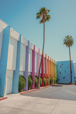 The Saguaro 1