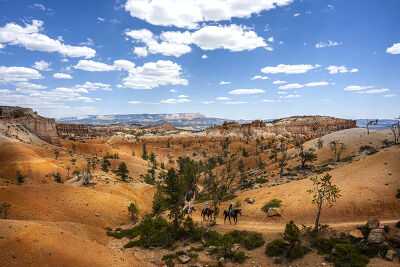Cheveaux Bryce Canyon