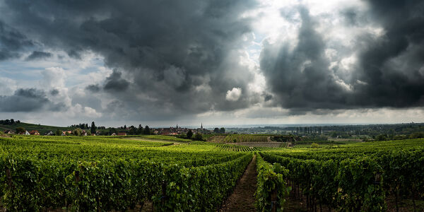 Alsace_5