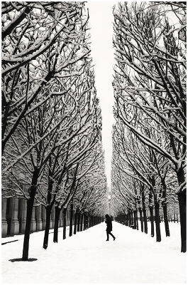 Snow in Palais Royal