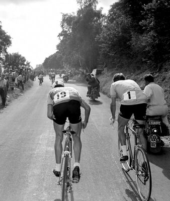 Tour de France 1964. Etape du Puy-de-Dôme. De dos : Raymond Poulidor (à gauche) et Jacques Anquetil
