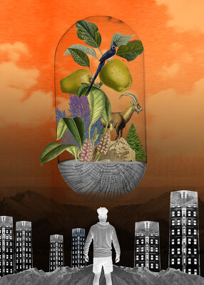 Biodiversité 2