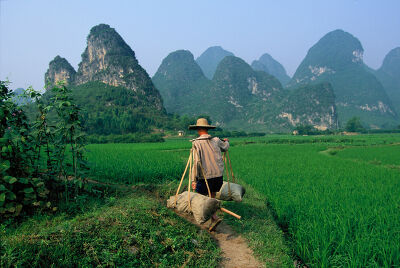 Paysan chinois