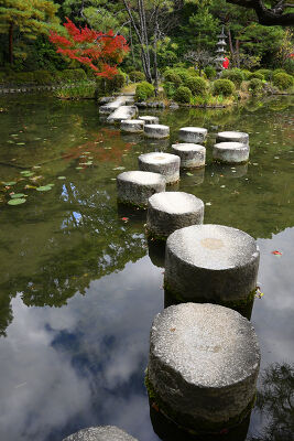 Jardin japonais, le temps d'un automne 1
