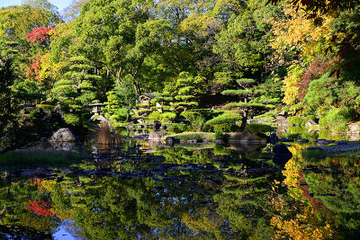 Jardin japonais, le temps d'un automne 2