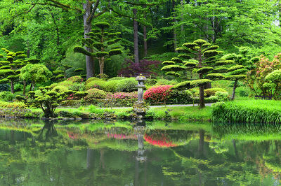 Le jardin japonais