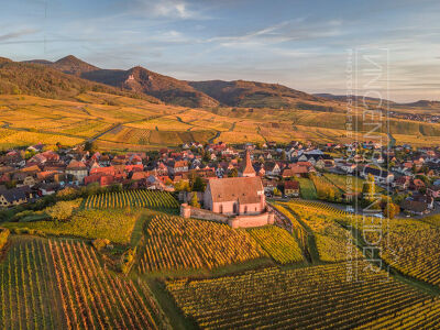 Vignoble d'Hunawihr
