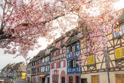 Colmar