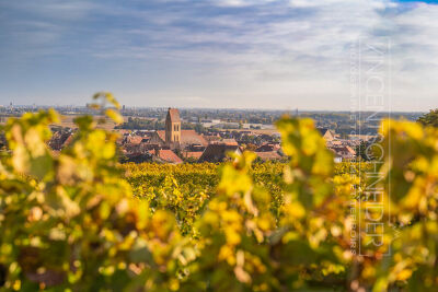 Eguisheim