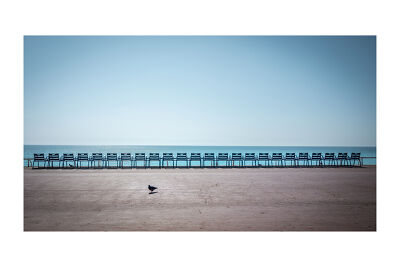 Nice - Pigeon