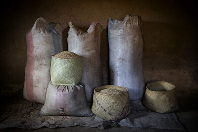 Les paniers de grains de Madagascar