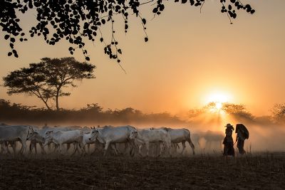 Coucher de soleil, Birmanie