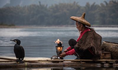 Pêcheur aux cormorans, Chine -1