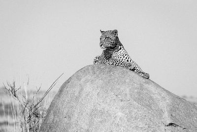 La sieste, Tanzanie