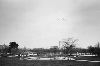 Le désert des Tuileries 2