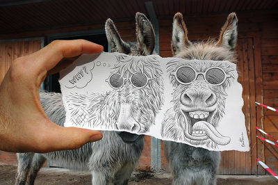 Pencil vs Camera - donkeys