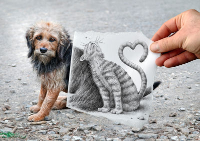Pencil vs Camera - dog & cat