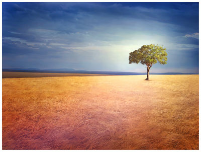 Spirit of the earth