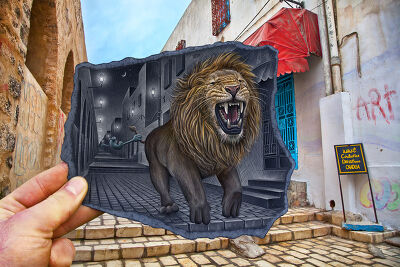 Pencil vs Camera - Lion