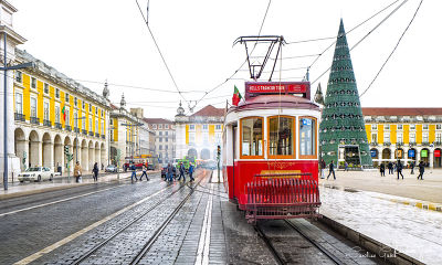 Le sapin vert, Lisbonne