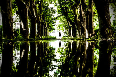 Le labyrinthe d'Alice